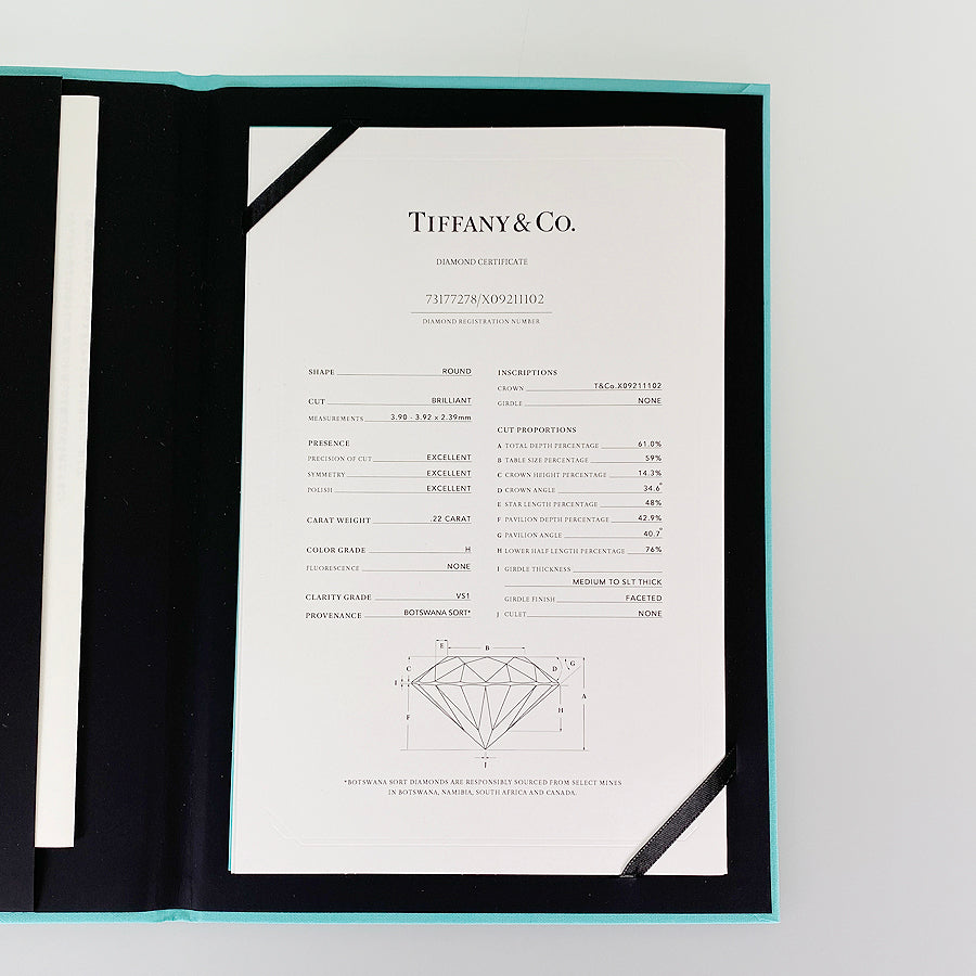 TIFFANY&Co. By The Yard Necklace