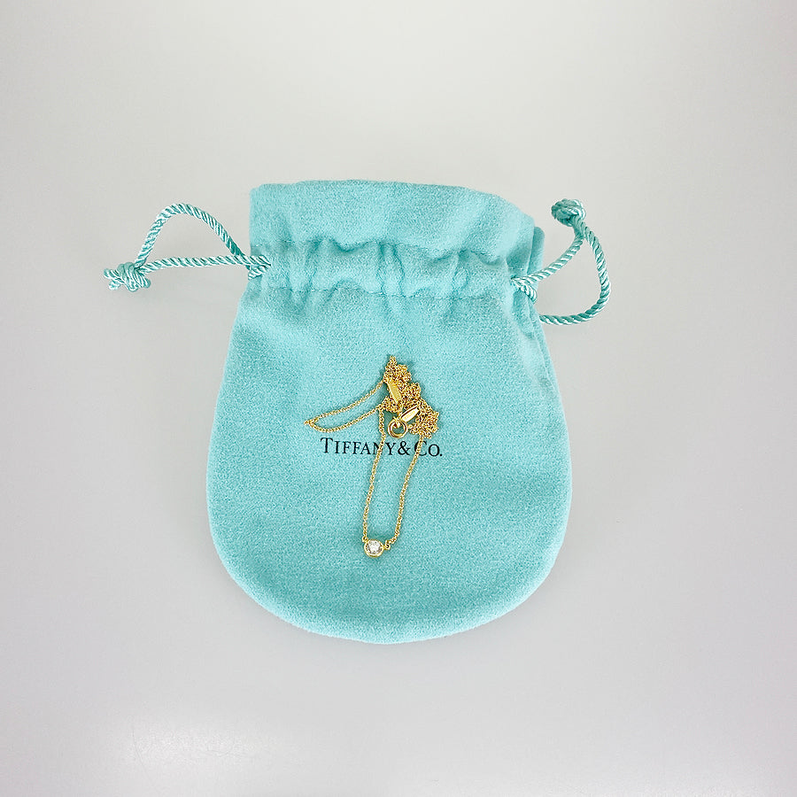 TIFFANY&Co. By The Yard Necklace