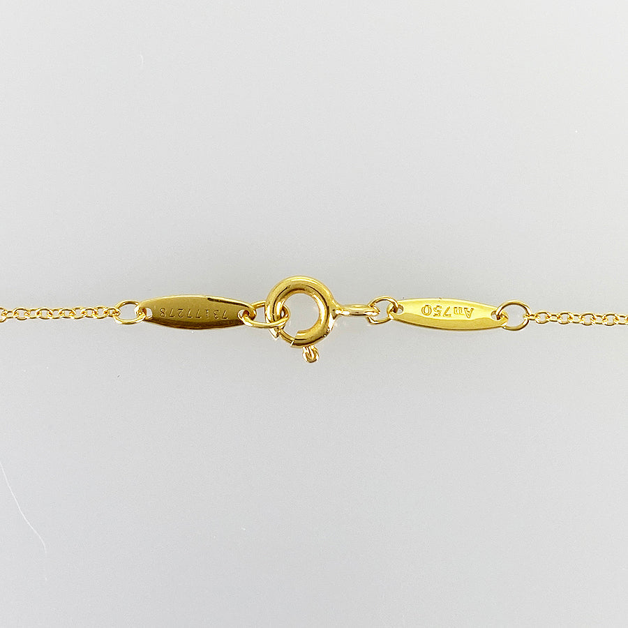 TIFFANY&Co. By The Yard Necklace