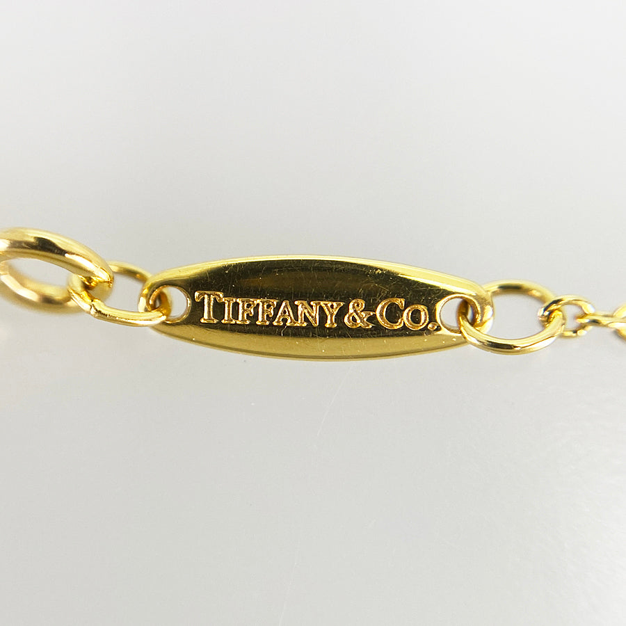 TIFFANY&Co. By The Yard Necklace