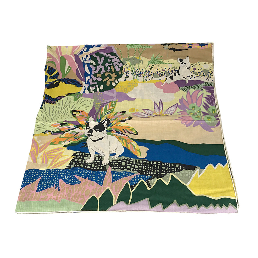 HERMES Caregean Women's Scarf