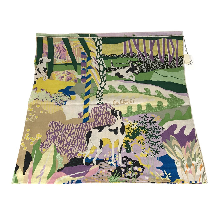 HERMES Caregean Women's Scarf