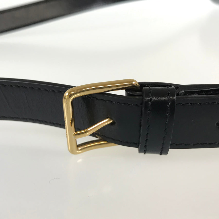CELINE Triomphe Classic Gold Hardware Shoulder Bag