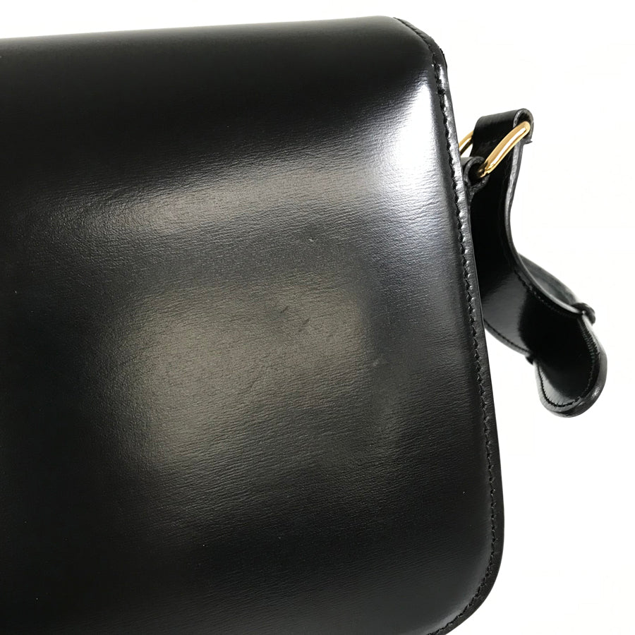 CELINE Triomphe Classic Gold Hardware Shoulder Bag