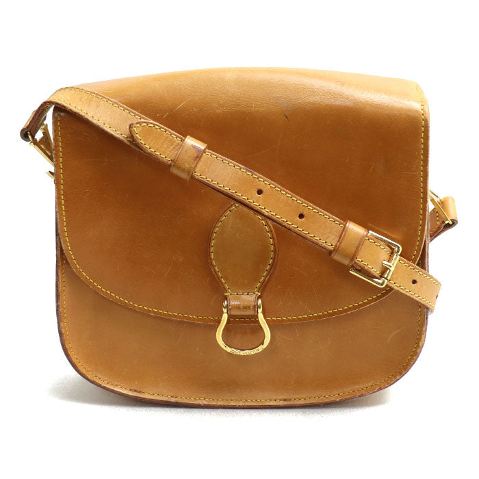 Louis Vuitton Saint Cloud Nomade Shoulder Bag