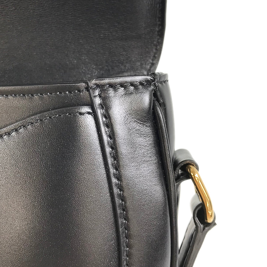 CELINE Sazes Buzas 16 Small Shoulder Bag