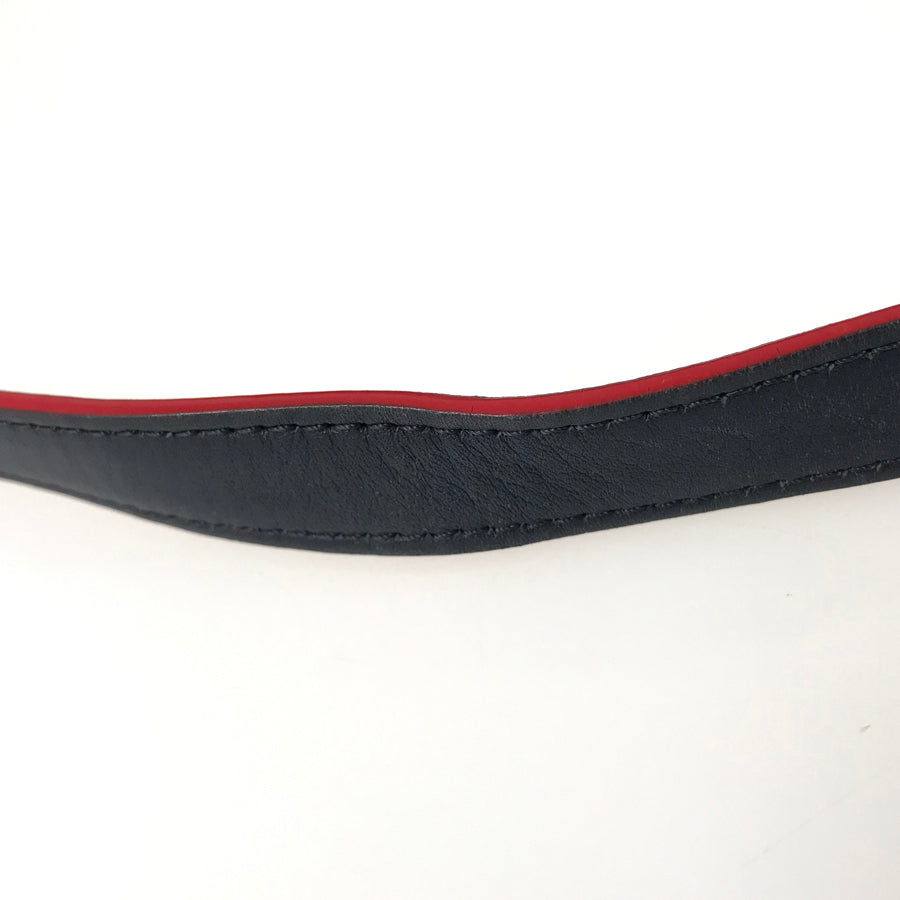 CELINE Belt Bag mini 176103 Hand bag