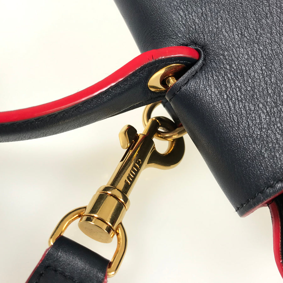 CELINE Belt Bag mini 176103 Hand bag