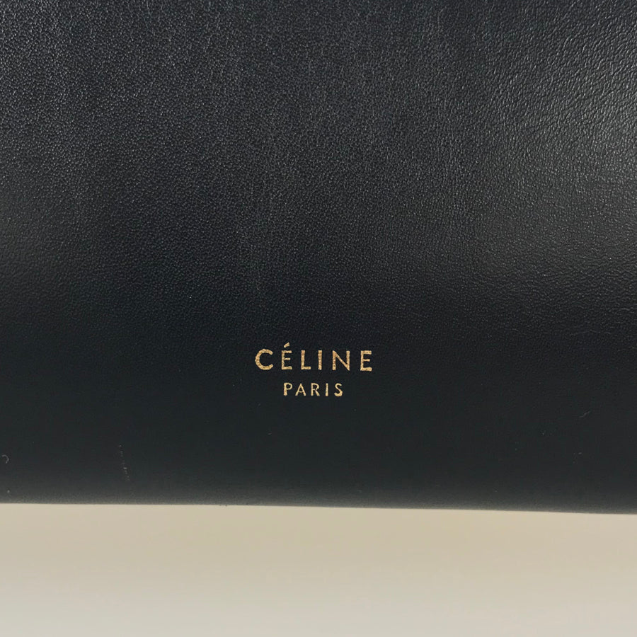 CELINE Belt Bag mini 176103 Hand bag
