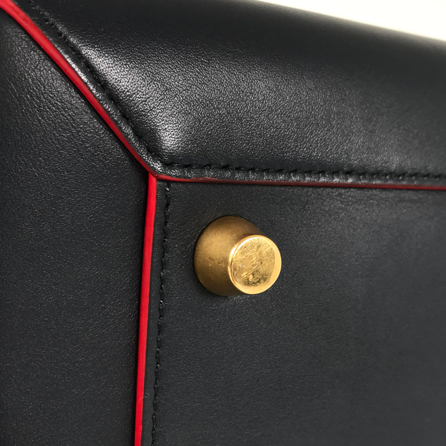 CELINE Belt Bag mini 176103 Hand bag