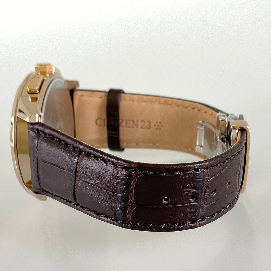CITIZEN Eco-Drive AT8113-12H Men's Watch