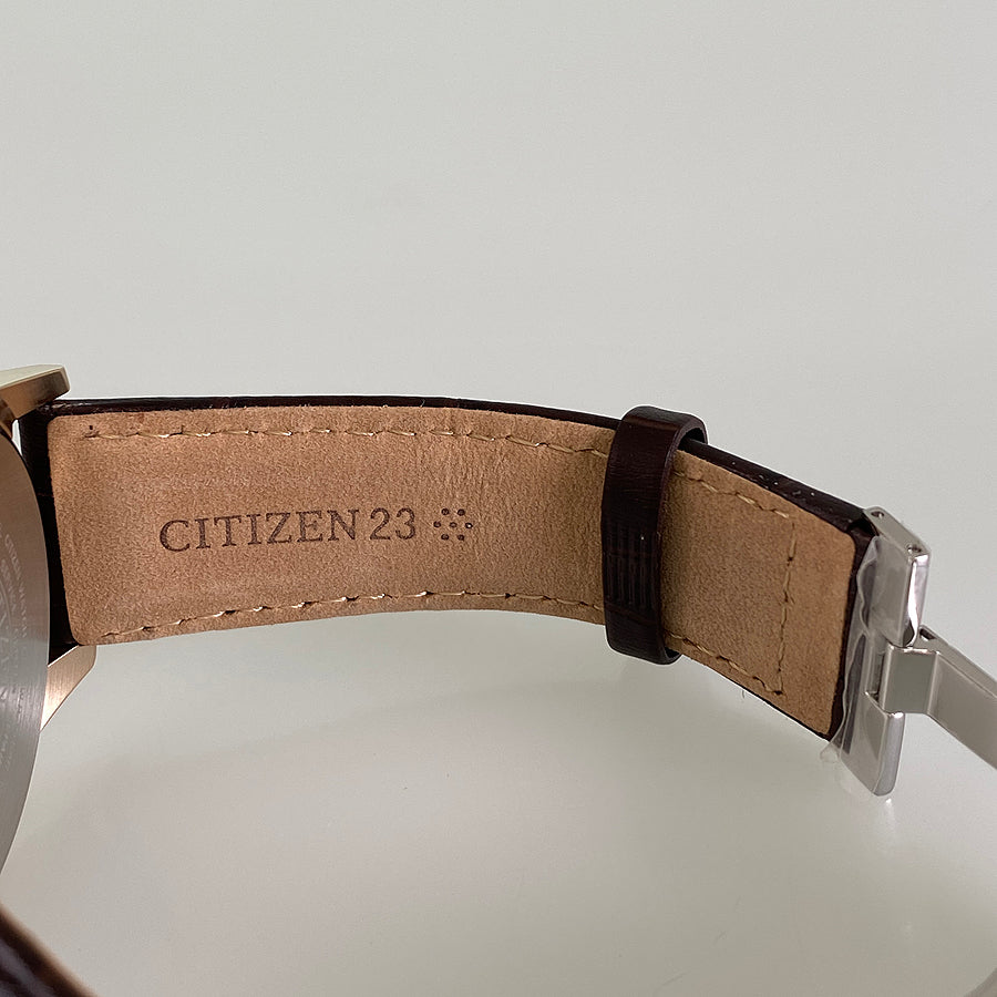 CITIZEN Eco-Drive AT8113-12H Men's Watch
