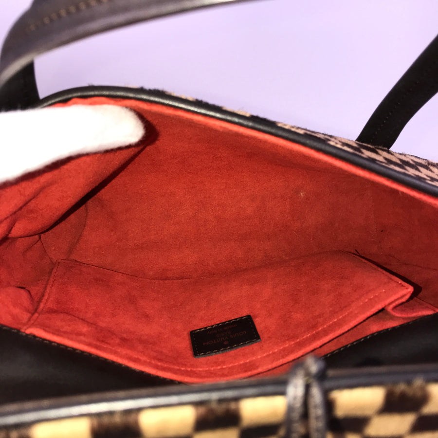 LOUIS VUITTON Damier Sauvage Lion M92131 Hand bag
