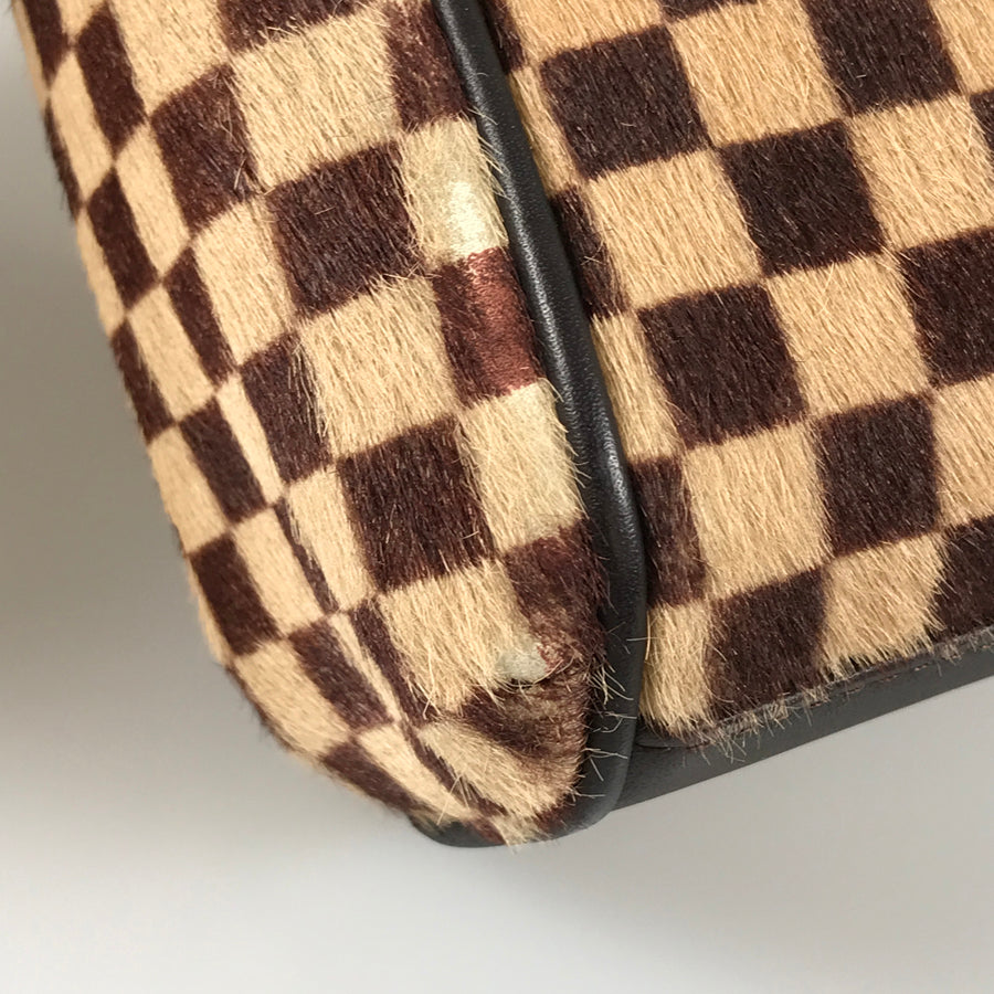 LOUIS VUITTON Damier Sauvage Lion M92131 Hand bag