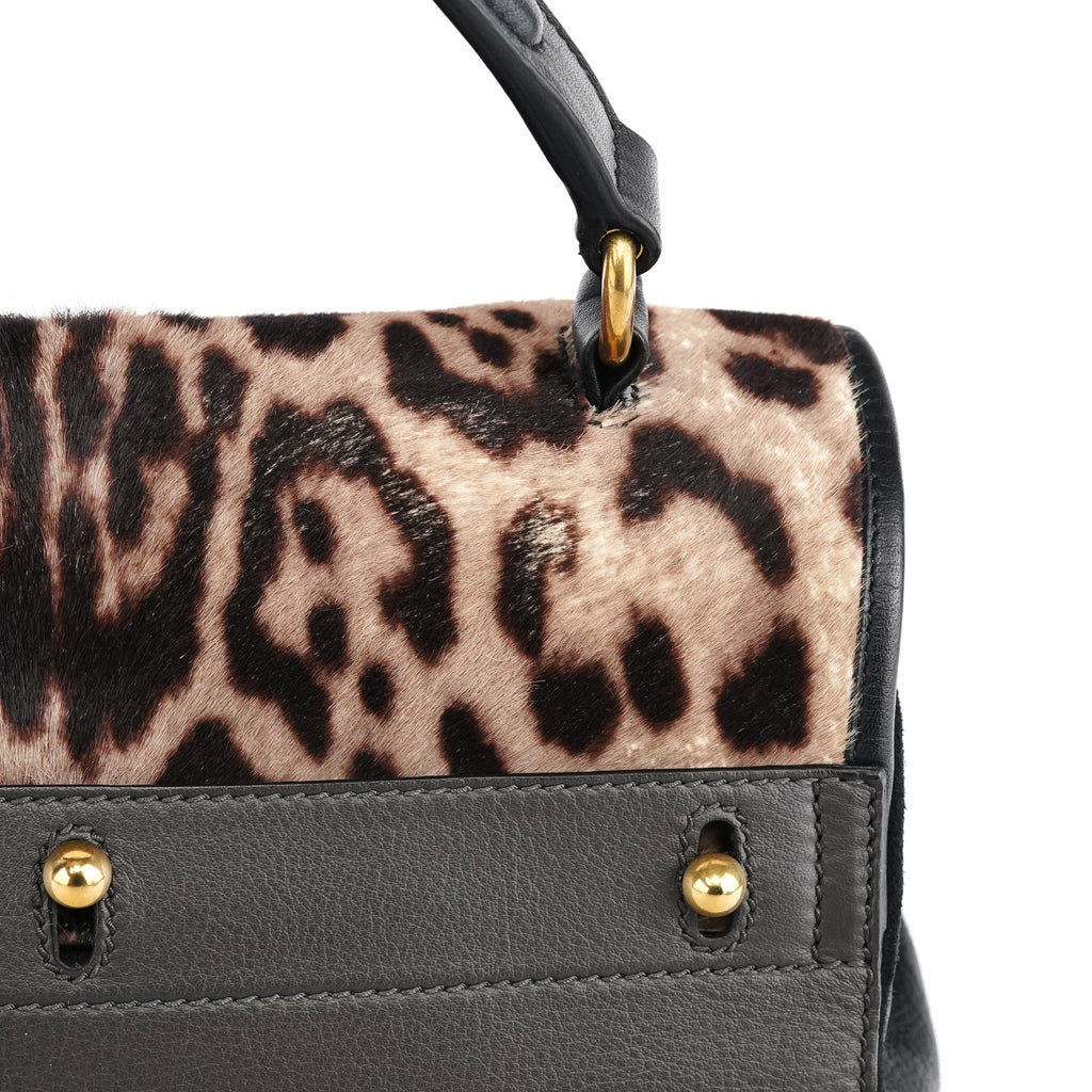 283761 Leopard Calfhair Leather Muse Two Bag