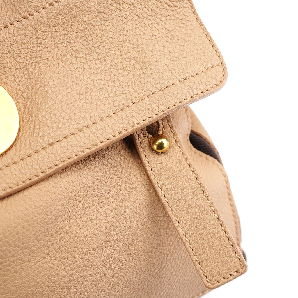 Beige Brown Leather Muse Two 2-Way Bag
