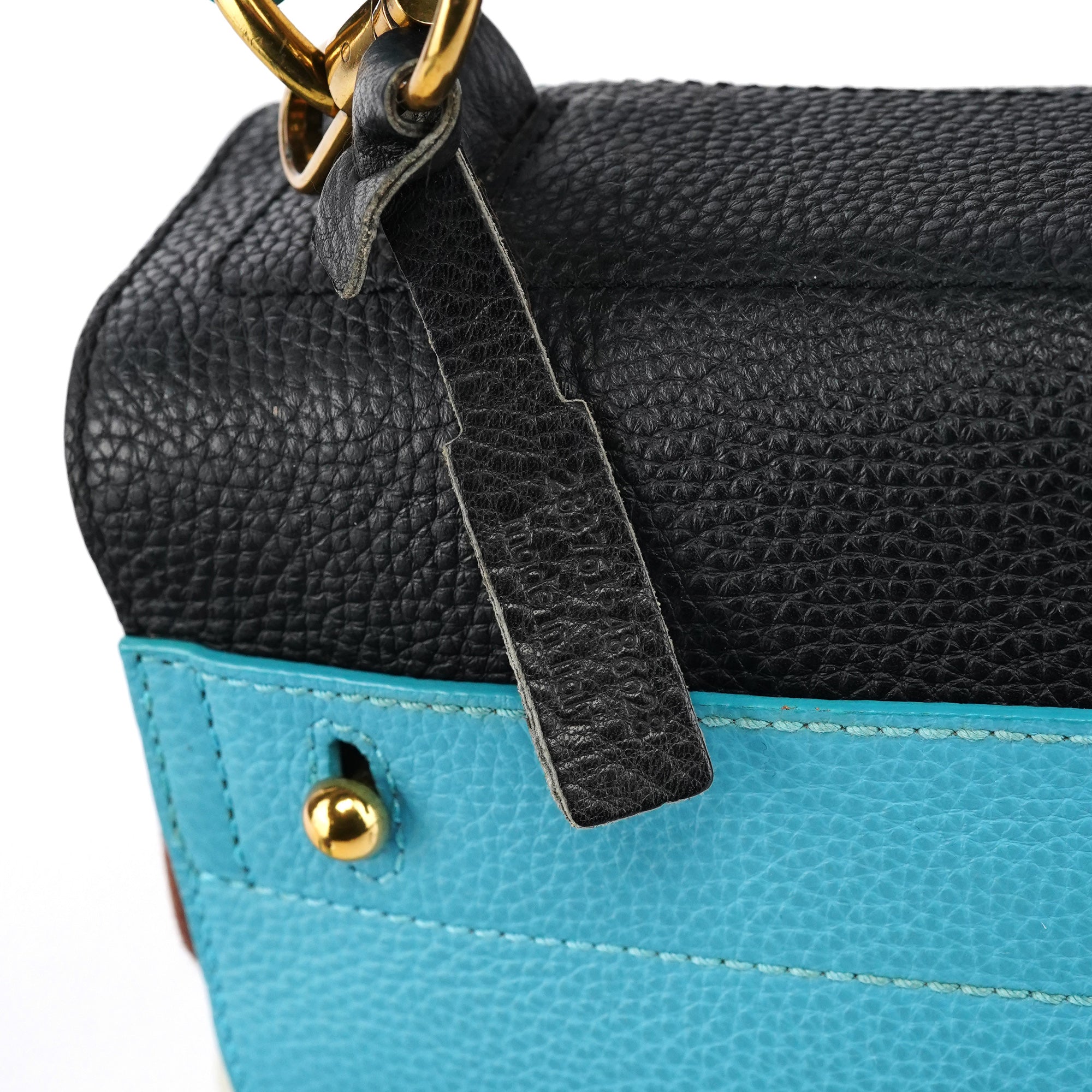 Multicolour Leather Muse Two 2-Way Bag